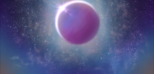 Cosmic Wilds